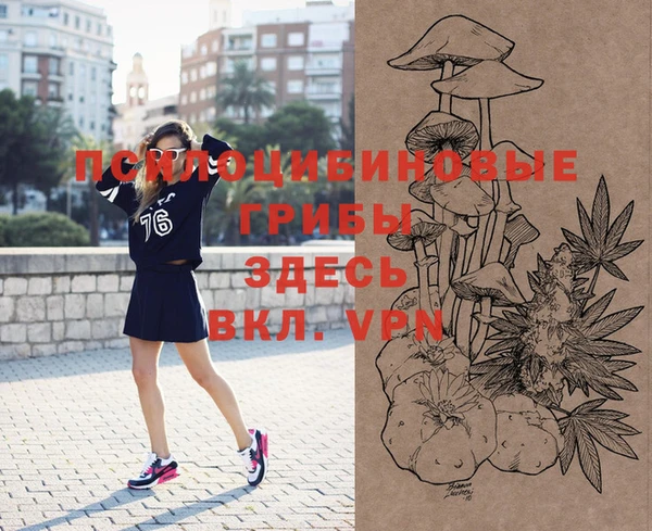 амф Горно-Алтайск