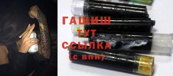 гидра Горнозаводск