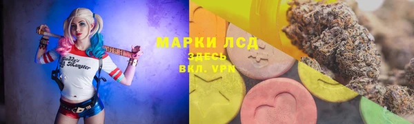 гидра Горнозаводск