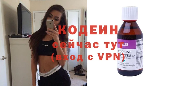 гидра Горнозаводск