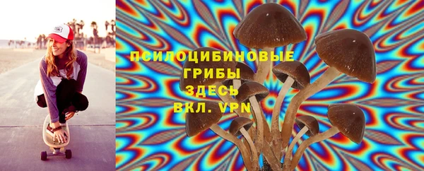 амф Горно-Алтайск