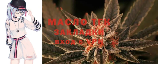 гидра Горнозаводск
