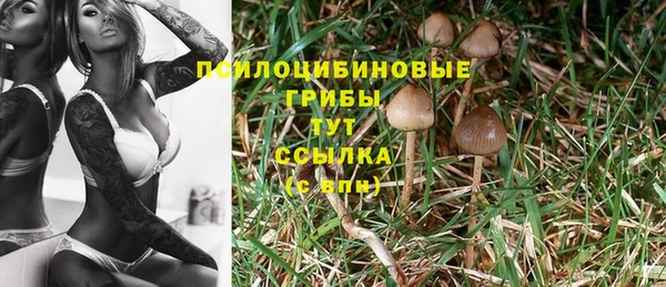 гидра Горнозаводск