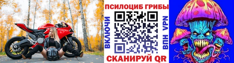 Псилоцибиновые грибы Psilocybine cubensis  Облучье 